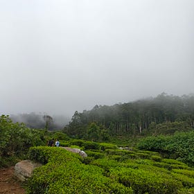 The Adventures of Ceylon- Part One