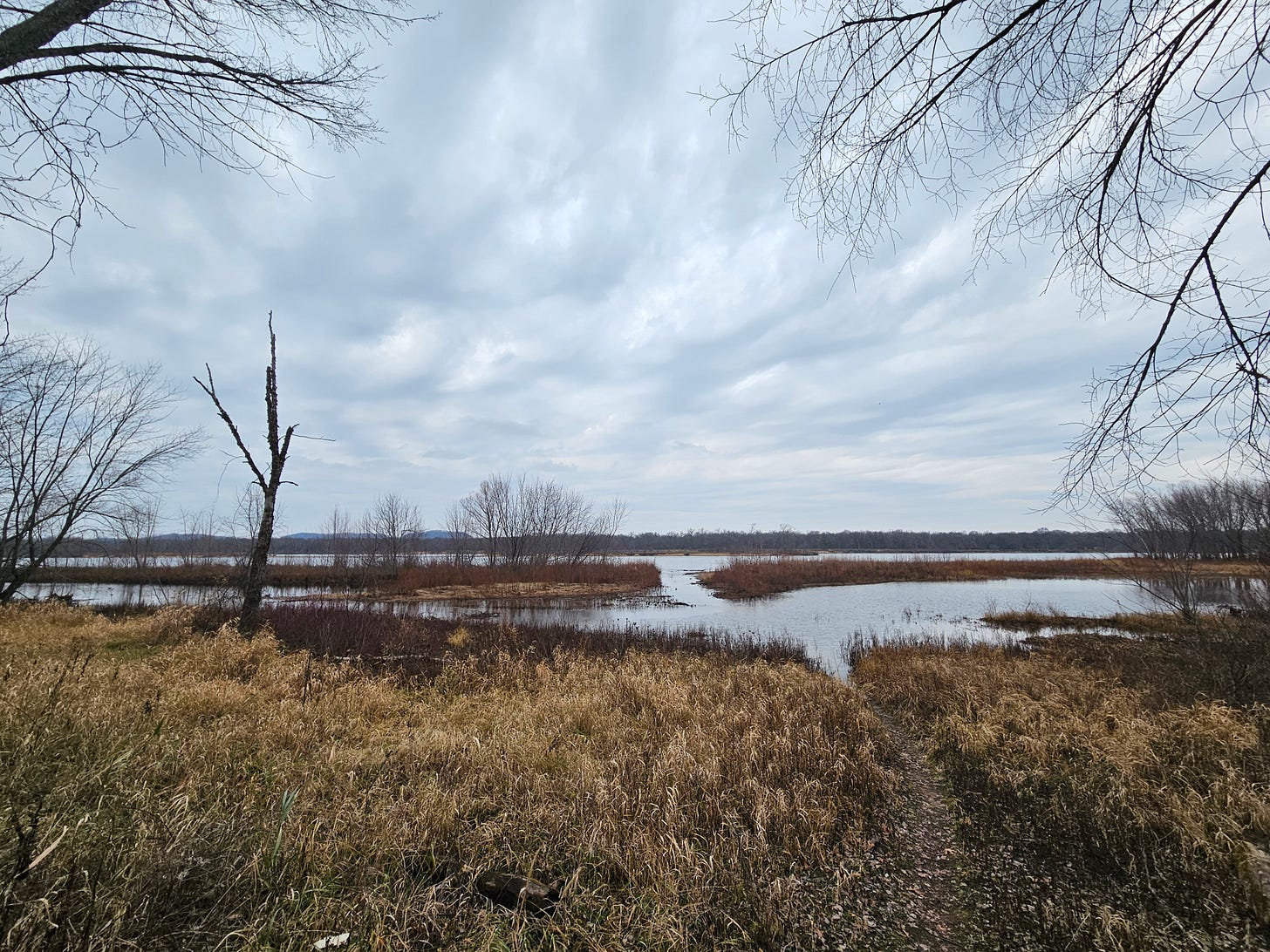 Tall, dried brown grass frames a narrow walking path that leads down to the edge of a river. Cloudy gray skies are overhead. The river stretches into the distance and is very serene and pretty.