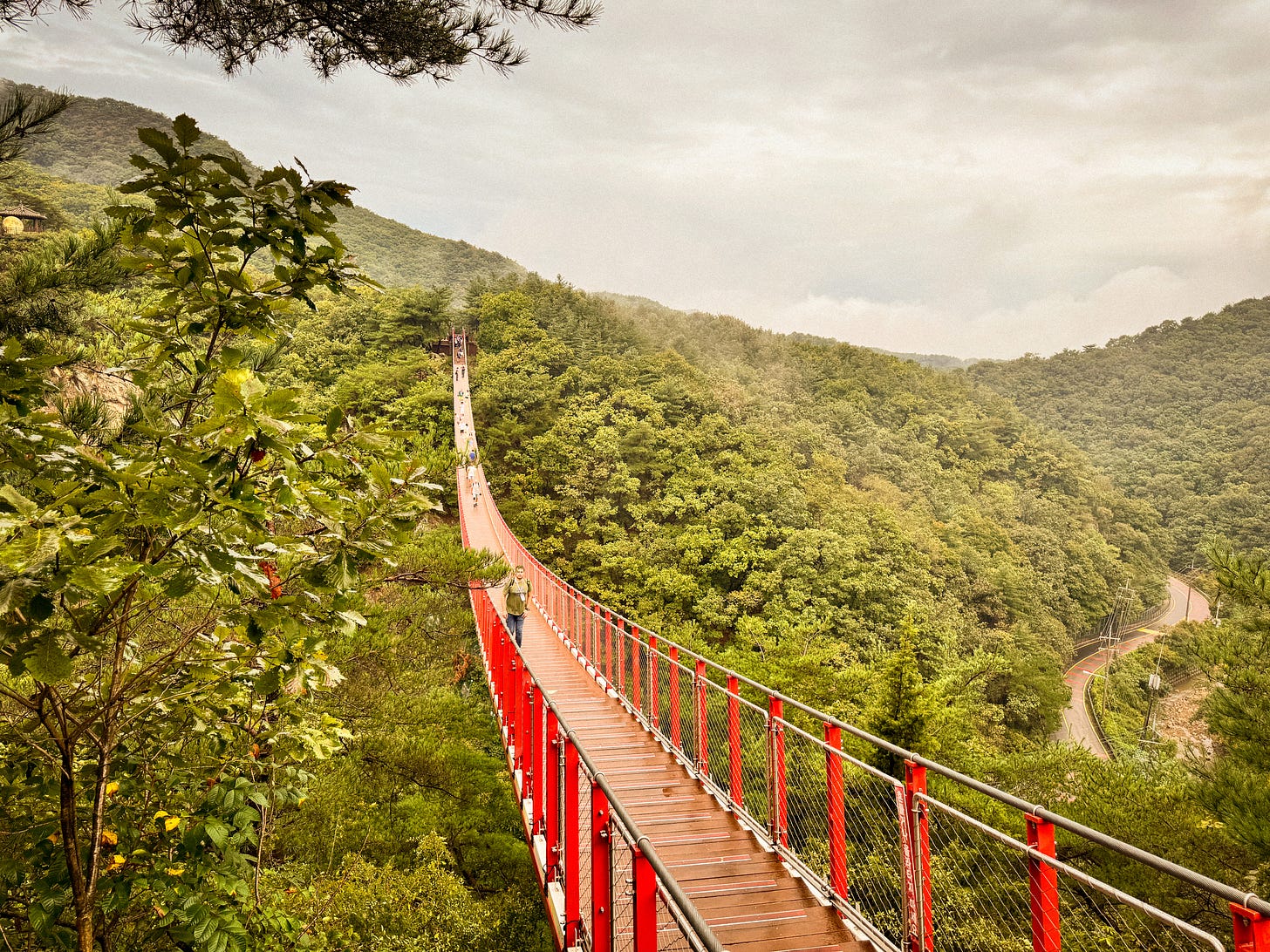 The red suspension bridge - Photo by Femy Praseeth The red suspension bridge - Photo by Femy Praseeth