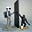 Monkey staring at a monolith's avatar