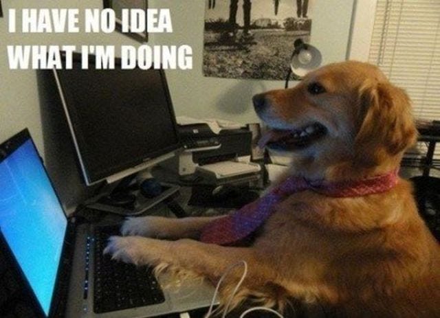I Have No Idea What I'm Doing - ACHA