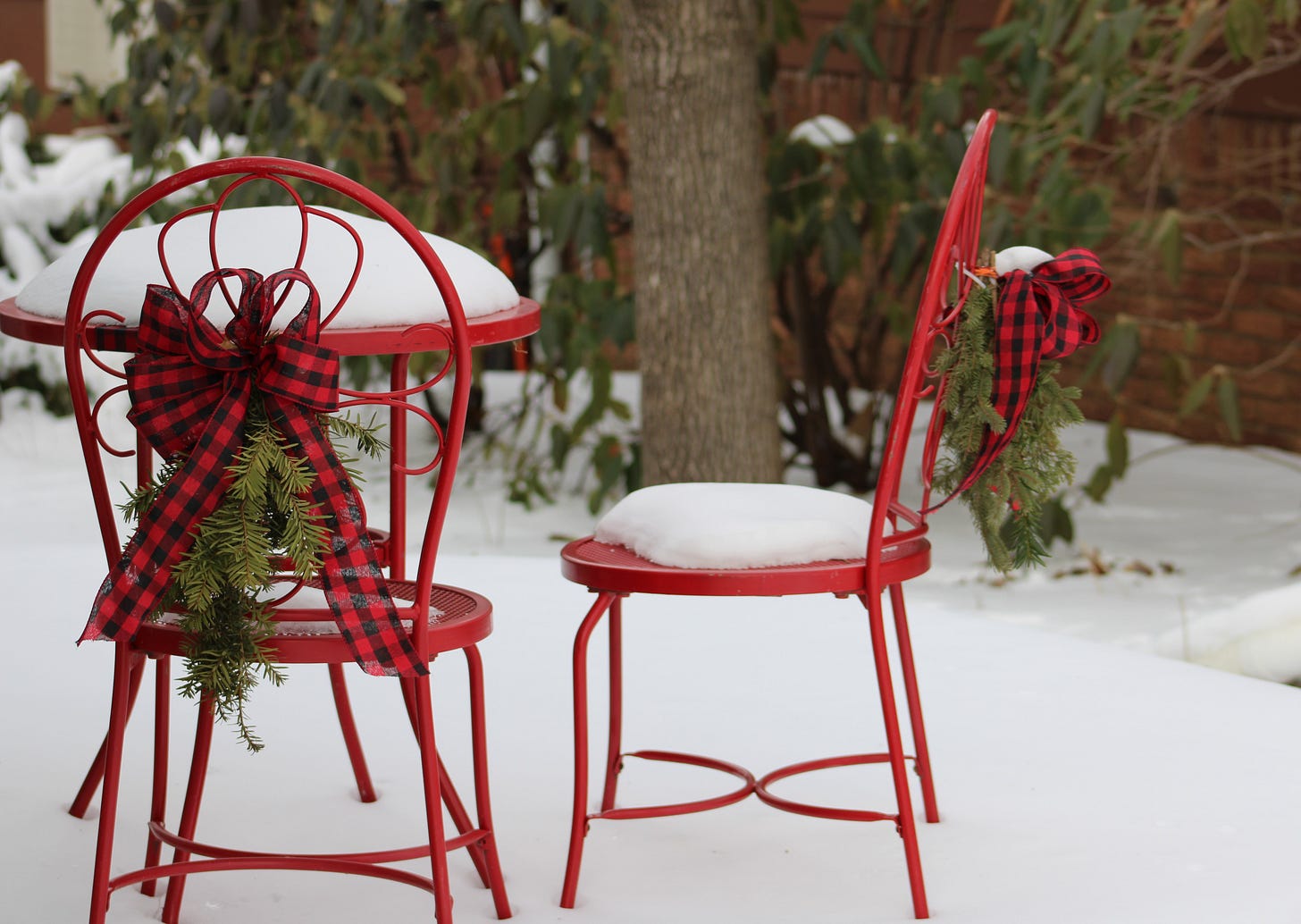 Winter Garden