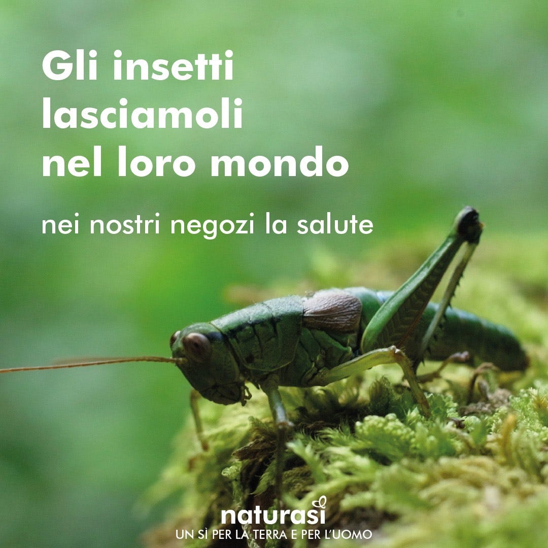 NaturaSì insetti
