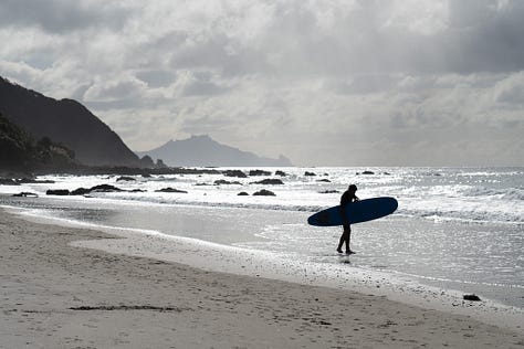 Assorted images of New Zealand's landscapes, from beaches to waterfalls to mountains and the milky way.