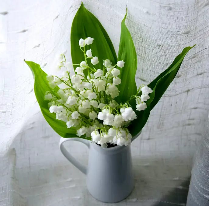 Photo of Lilies of the Valley in a jug.