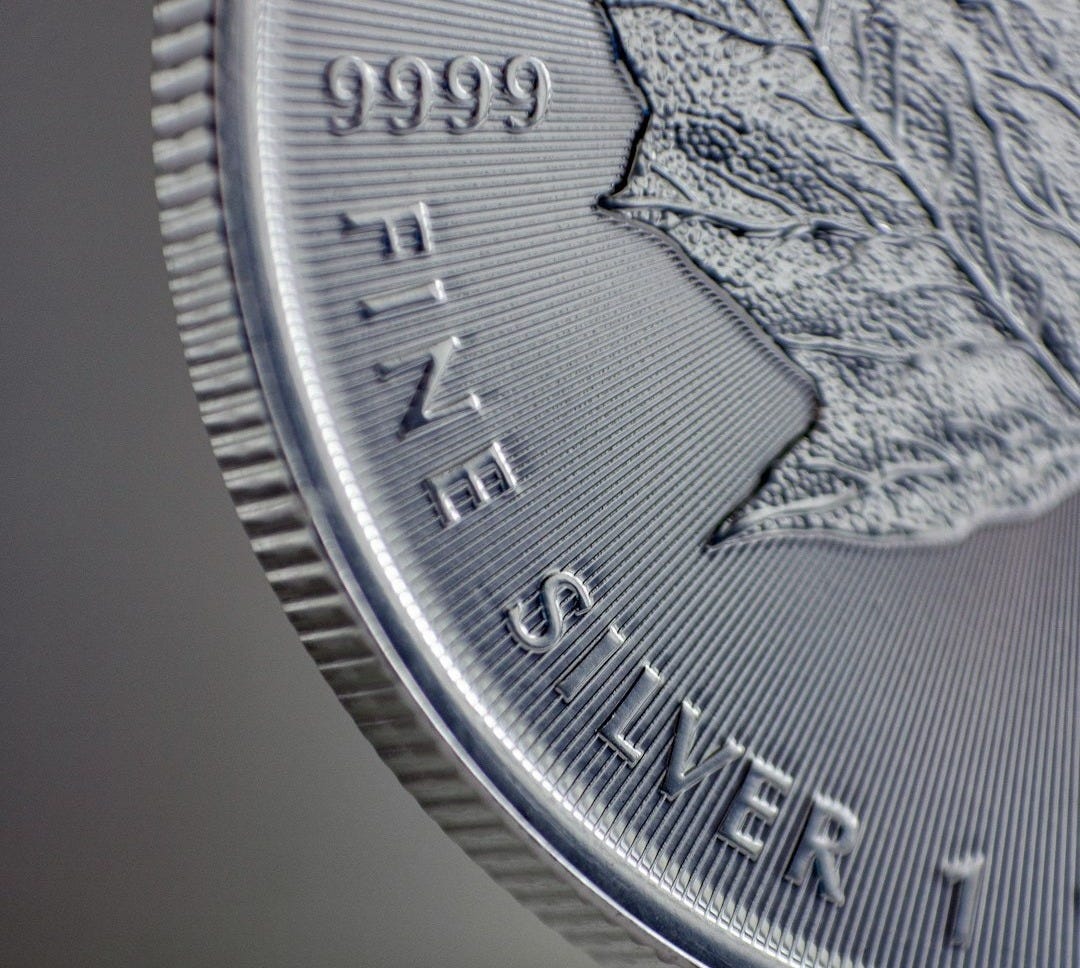 a close up of a silver coin with a leaf on it