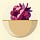 Raspberry Oatmeal