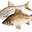 Croaker's avatar
