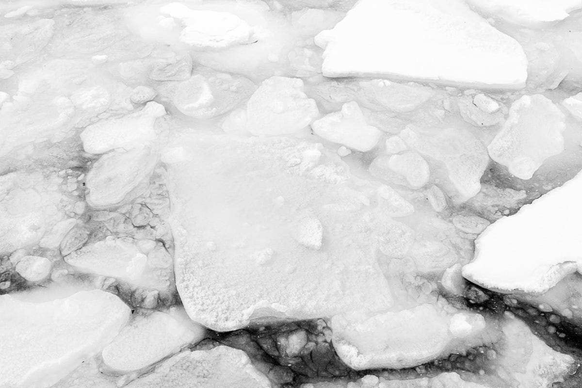 Close-up of broken ice sheets and snow patterns floating on dark harbor water in Boston.