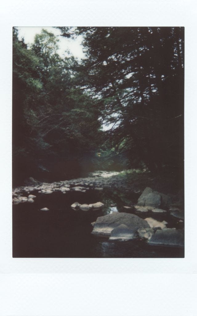 The creek The creek