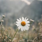 Adventures of a Spiritual Warrior