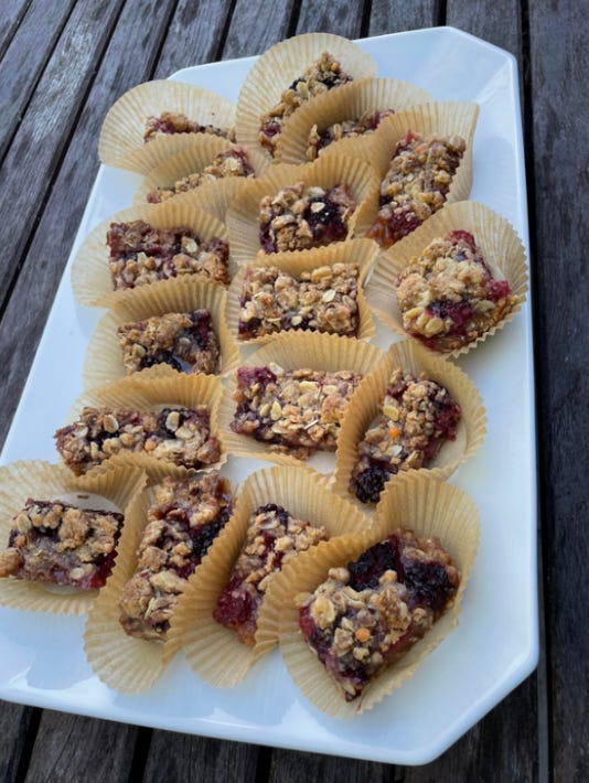 Homemade oat and berry bars Homemade oat and berry bars