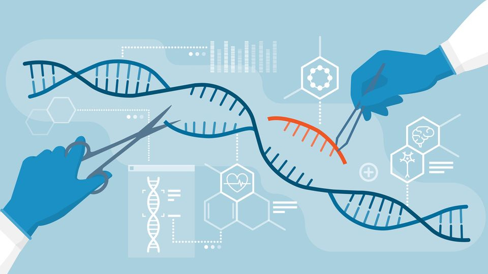 Genetic Modification Techniques and Applications | Technology Networks