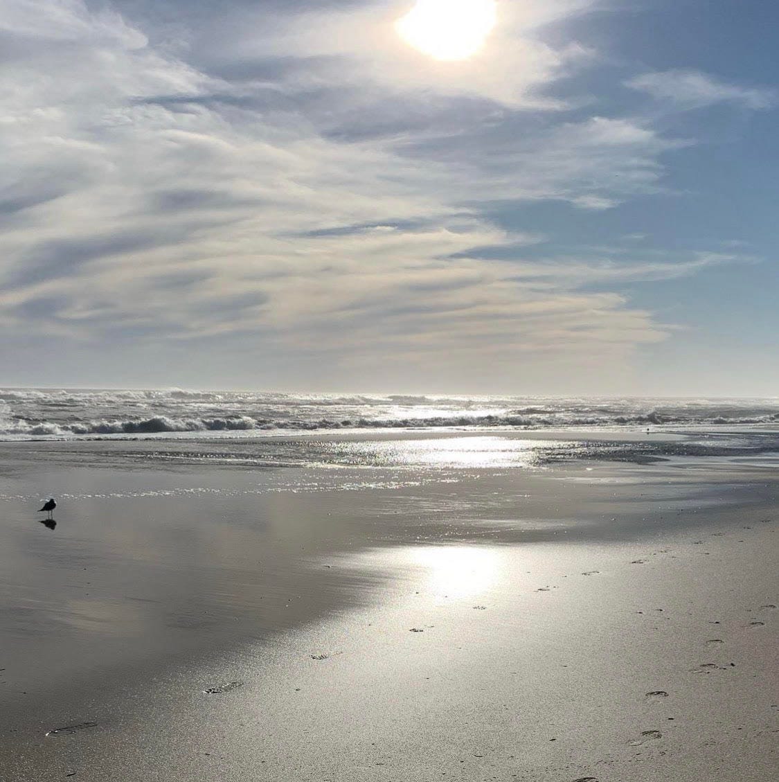 A photo of a beach. In the distance you see the waves rolling in and above a blue sky. In the lover left corner is a single seagull. A photo of a beach. In the distance you see the waves rolling in and above a blue sky. In the lover left corner is a single seagull.