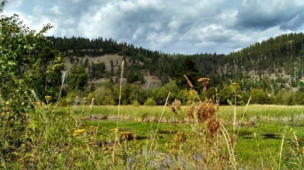 Idaho Idaho