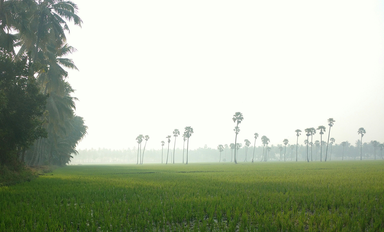 Bhimavaram Tour Packages , get upto 30% Off on Bhimavaram Packages Booking  with Yatra