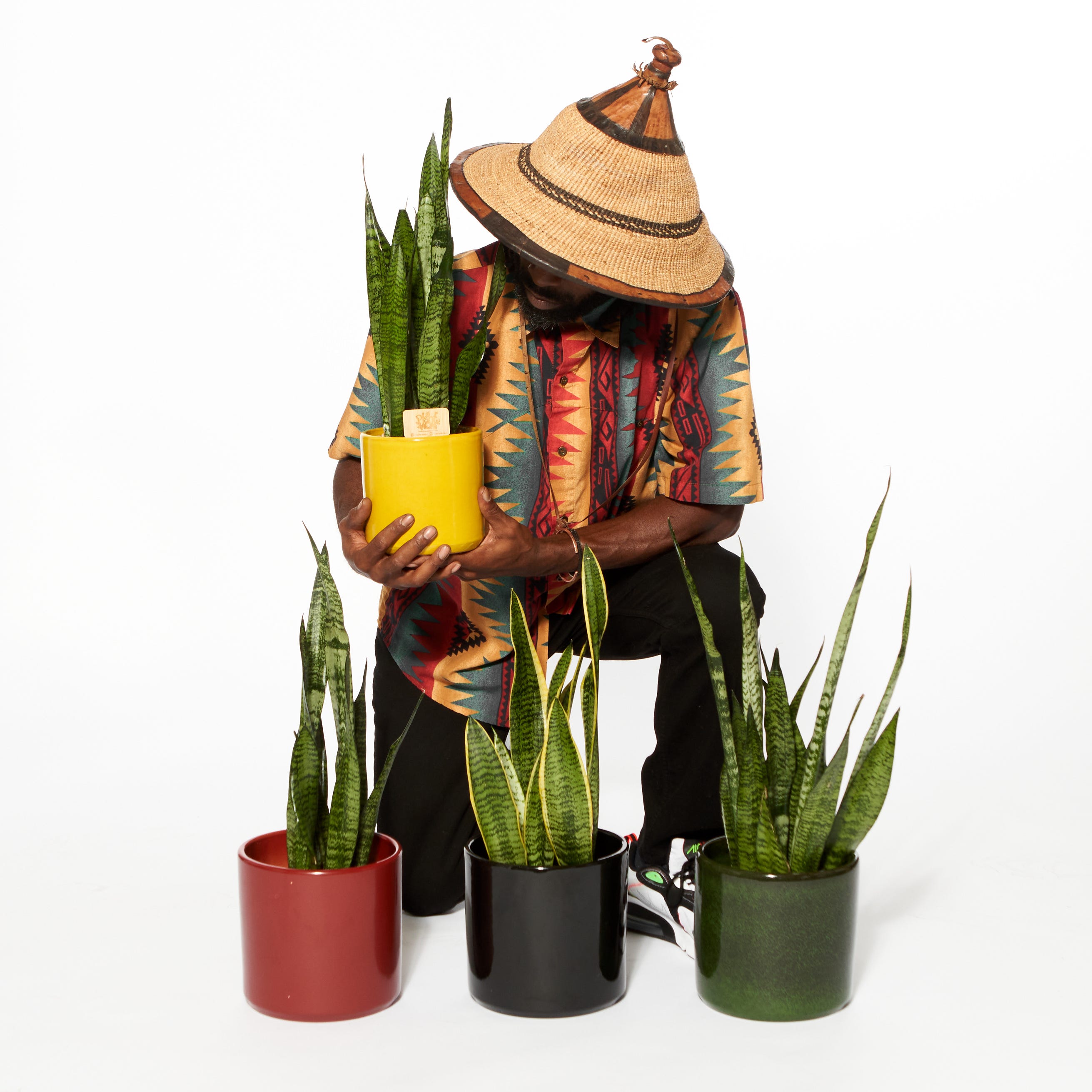 The Plant Mon’s Substack