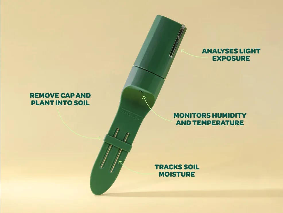 Plant with Willow Review - Morph Magazine 2