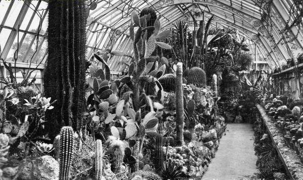 No photo description available.