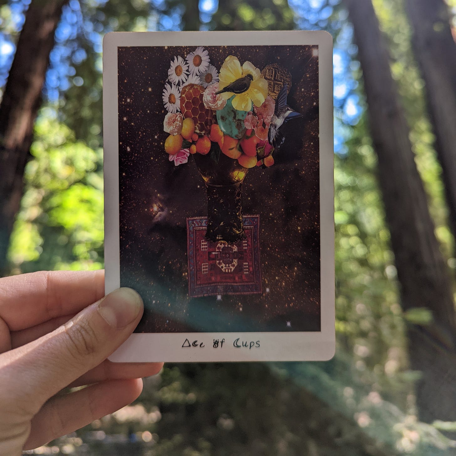 The Ace of Cups tarot card from Lioness Oracle Deck. A bouquet of flowers and fruit, with two birds nestled in, sits atop a rug floating in outer space. The card is being held up by a female hand, and you can see redwood trees behind the card. The Ace of Cups tarot card from Lioness Oracle Deck. A bouquet of flowers and fruit, with two birds nestled in, sits atop a rug floating in outer space. The card is being held up by a female hand, and you can see redwood trees behind the card.