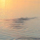 Our Lives Make Ripples