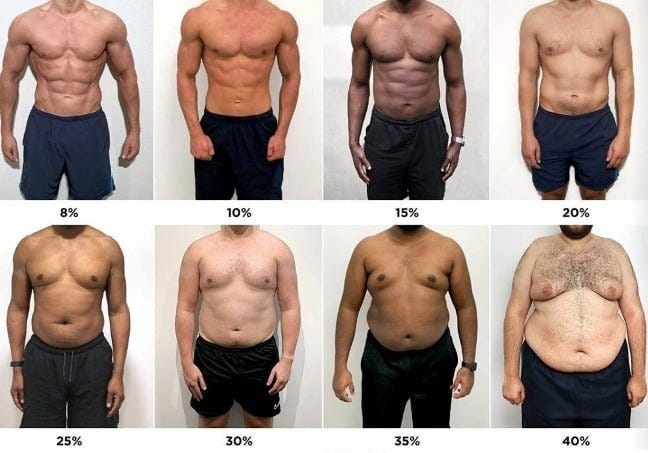 Body Fat Percentage Visual Chart at Herbert Anderson blog