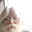Vascoe Myer's avatar