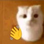 momo's avatar