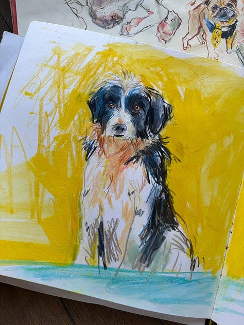 three artists draw the same dog