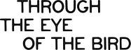 Through the eye of the bird