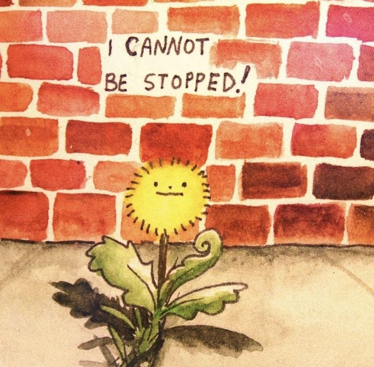 Story pin image