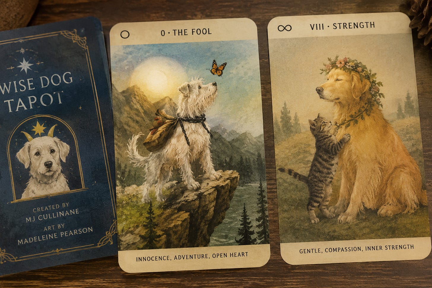 Two cards from the Wise Dog Tarot deck, The Fool and Strength, standing beside the deck box.