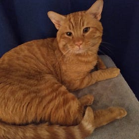 New Footage Undermines Official January 6th Narrative