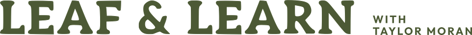Leaf and Learn｜Taylor Moran | Substack