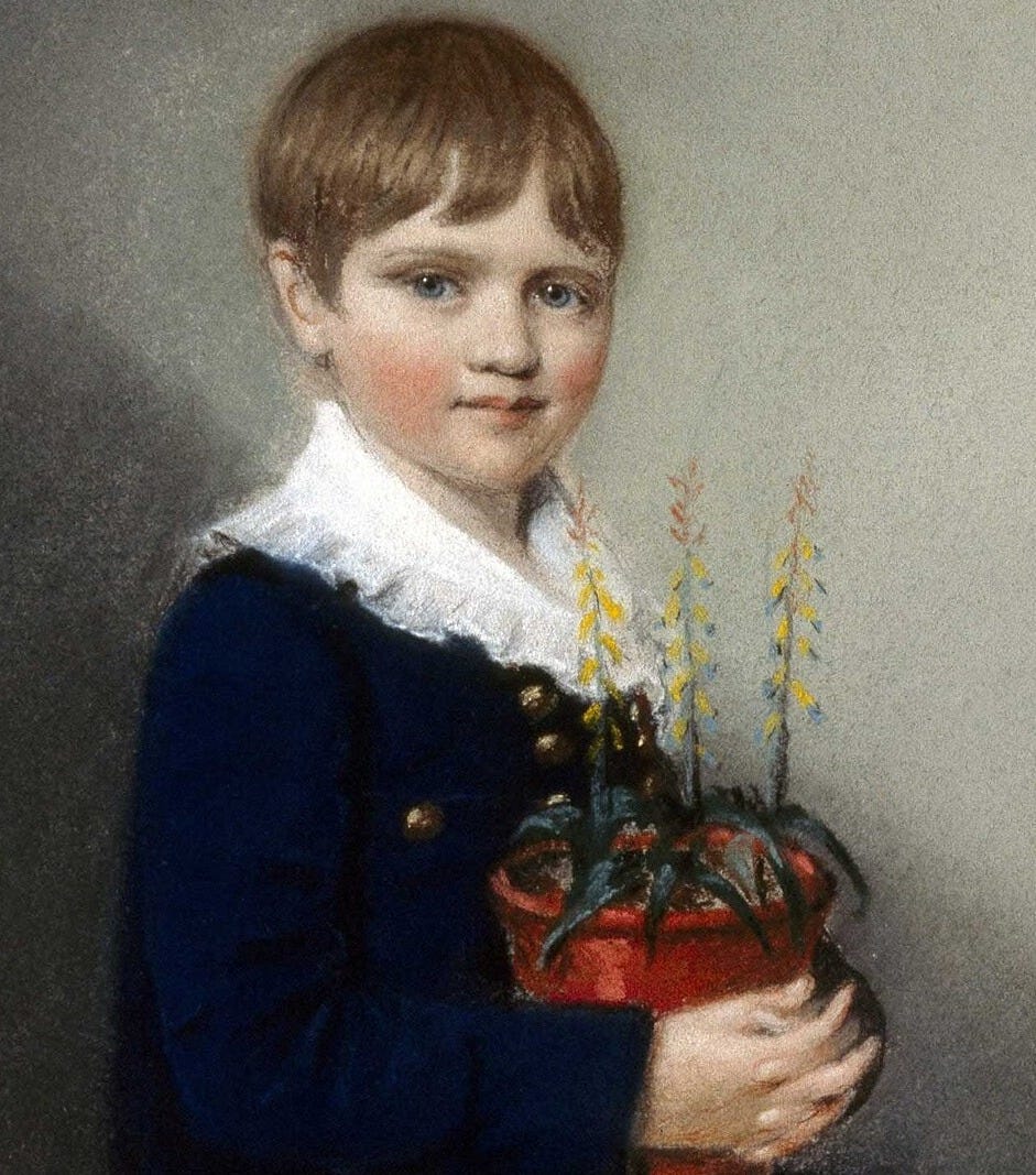 Three-quarter length portrait of seated boy smiling and looking at the viewer; he has straight, mid-brown hair and wears dark clothes with a large, frilly, white collar; in his lap he holds a pot of flowering plants Three-quarter length portrait of seated boy smiling and looking at the viewer; he has straight, mid-brown hair and wears dark clothes with a large, frilly, white collar; in his lap he holds a pot of flowering plants