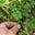 Mad Mouse's avatar