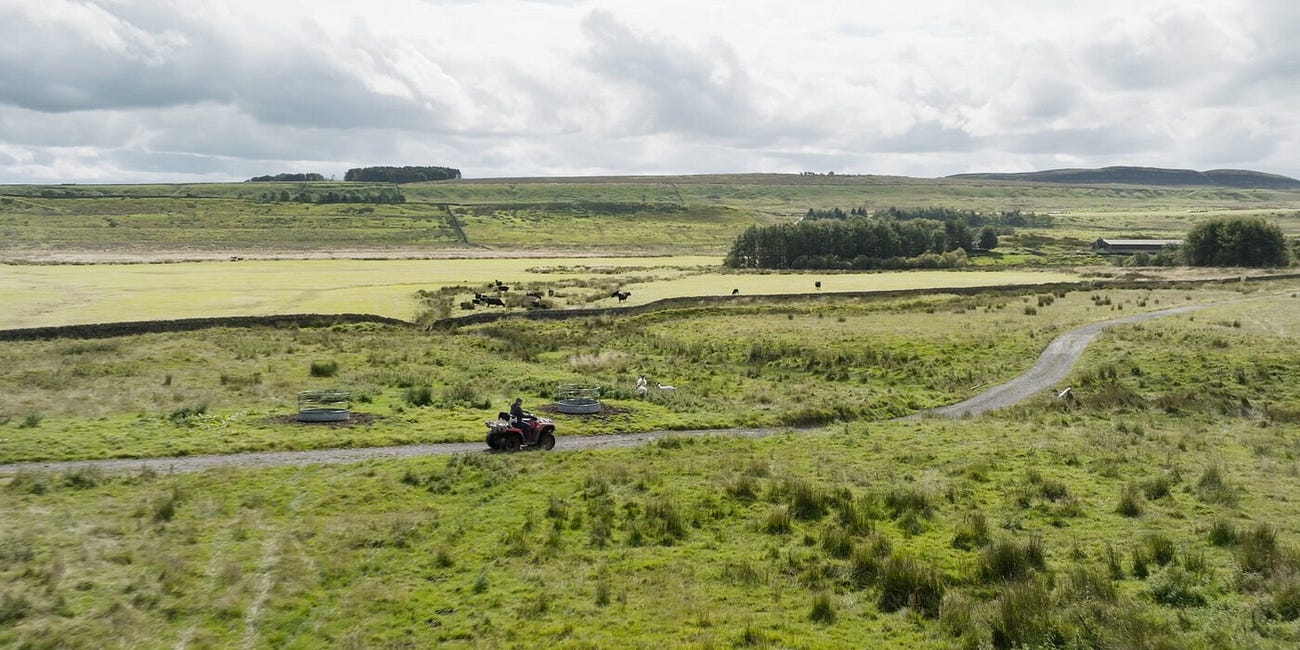 Big ambitions for wetlands project along Hadrian’s Wall
