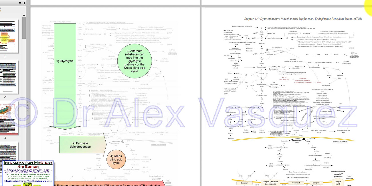 MELATONIN (part6), Mitochondria, Metabolism, Malignancy: TUTORIAL VIDEO (45min)