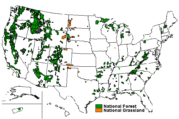 United States National Forest - Alchetron, the free social encyclopedia