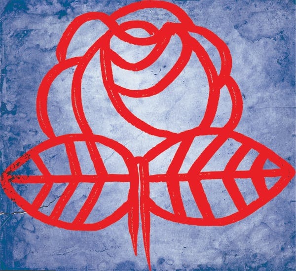 A DSA rose A DSA rose