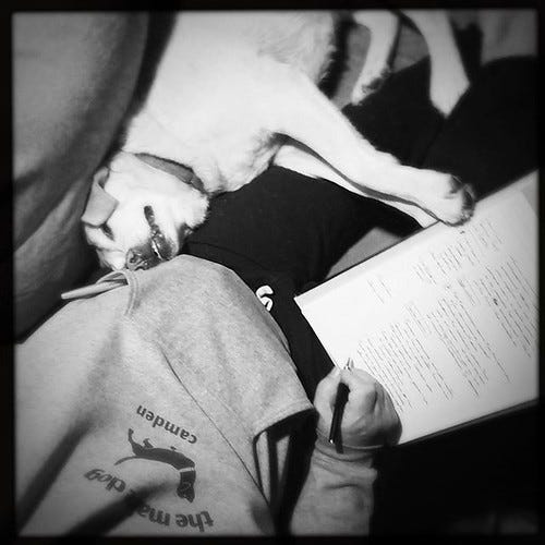 My coauthor as I work on tonight’s talk for @sifoundry. #labrador #morningroutine #writing My coauthor as I work on tonight’s talk for @sifoundry. #labrador #morningroutine #writing