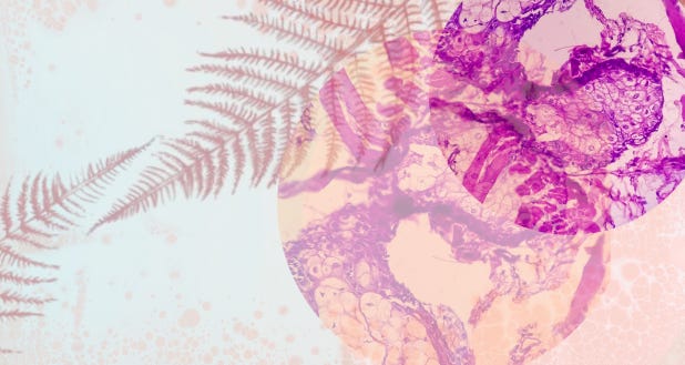 Abstract medical illustration representing the intersection of clinical research and individual patient narratives