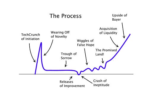 Paul Graham's (Y-combinator) graph of the startup process looks familiar :  Bitcoin