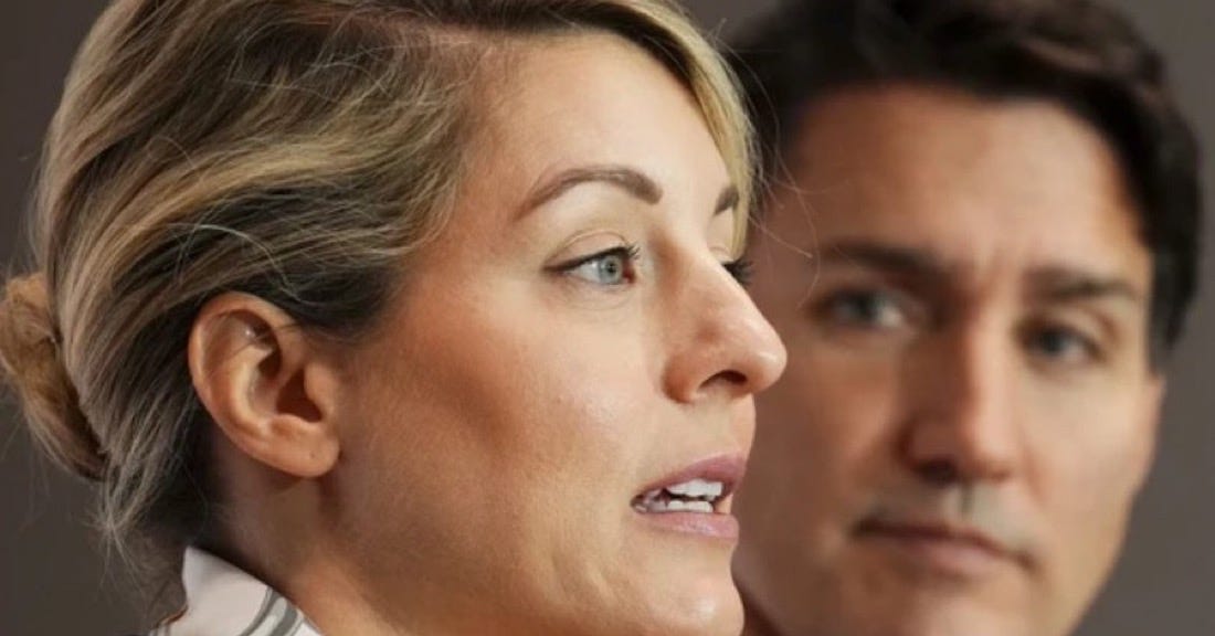 Liberals vote down bid to recover $34M in ‘green slush fund'