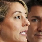 Liberals vote down bid to recover $34M in âgreen slush fundâ