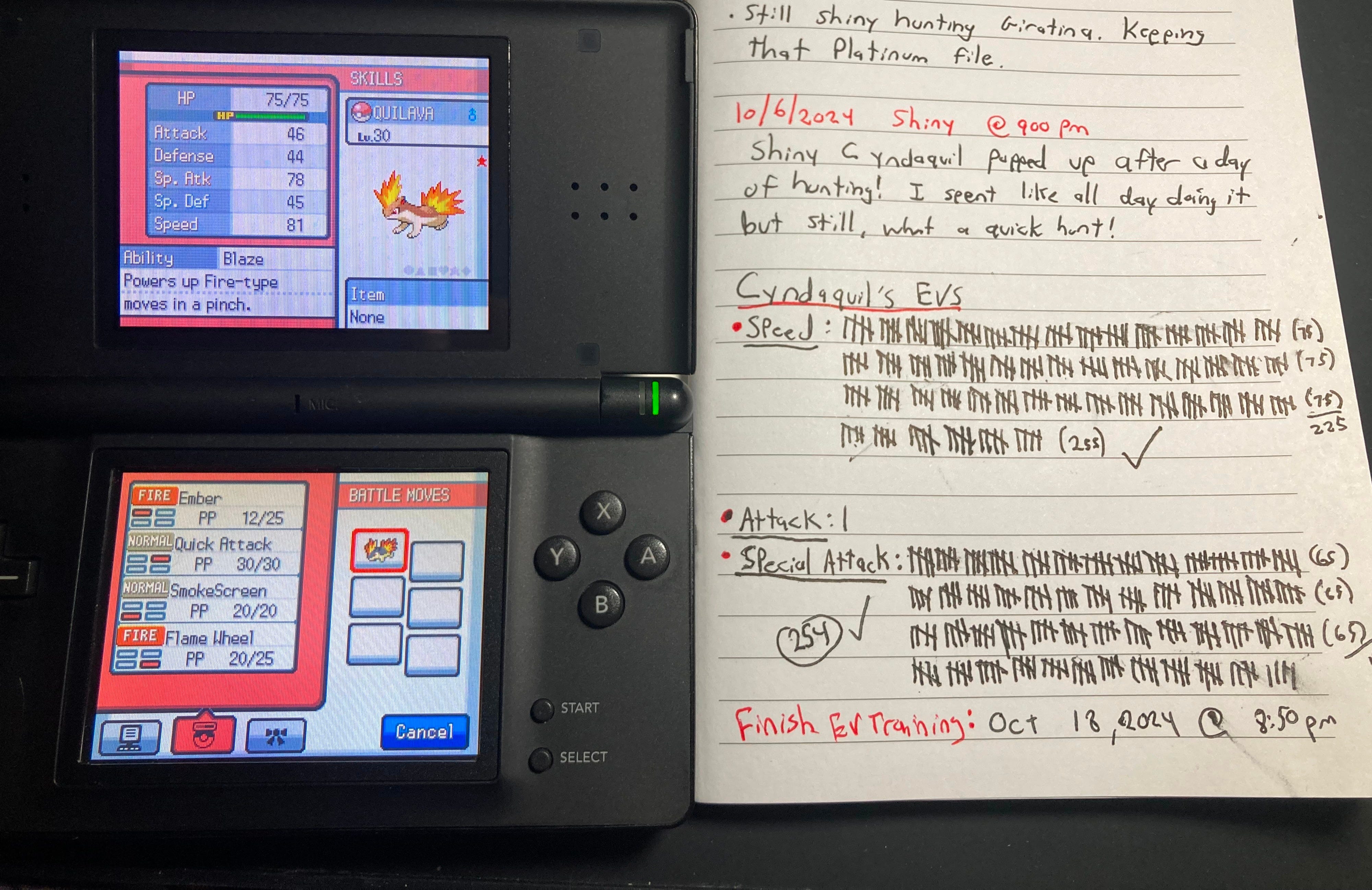 The Start of a New Pokemon Adventure (Gen 4)