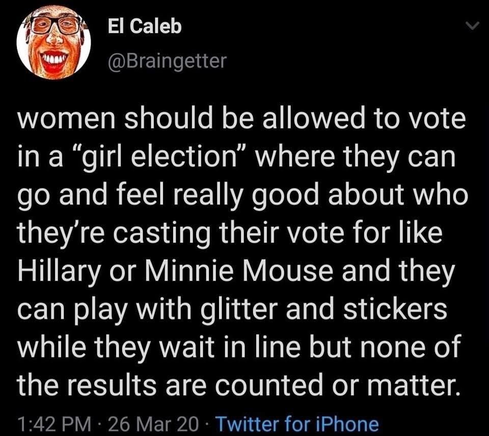 screenshot of a tweet arguing that there should be "girl elections" for women to vote in instead of the real election while playing with kid's toys screenshot of a tweet arguing that there should be "girl elections" for women to vote in instead of the real election while playing with kid's toys