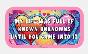 My life was full of known-unknowns until you came into it