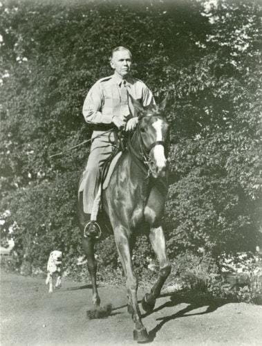 A person riding a horse
Description automatically generated A person riding a horse
Description automatically generated