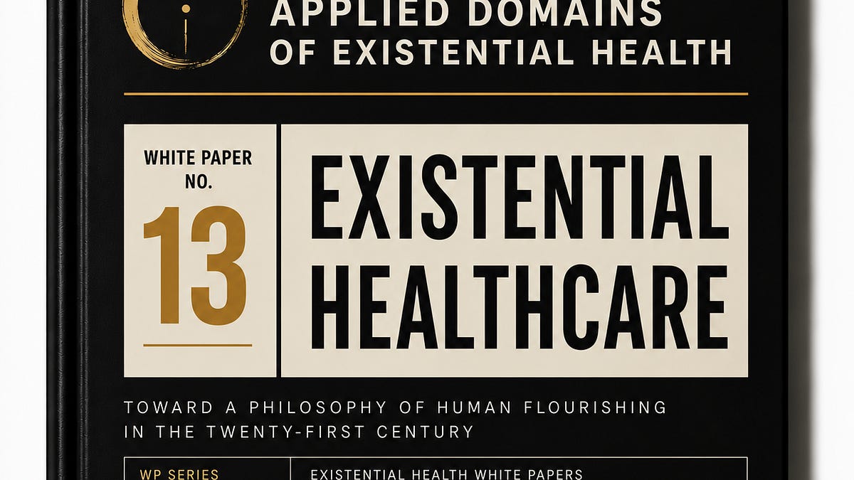 Image for Existential Health White Papers: Volume Two Applied Domains of Existential Health